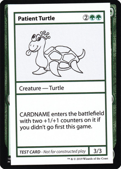 Patient Turtle Playtest