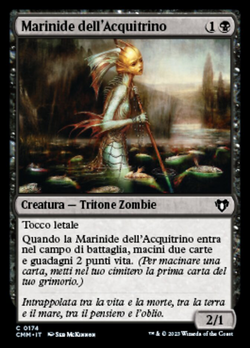 Marinide dell'Acquitrino image