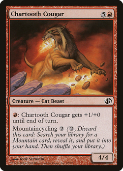 Chartooth Cougar