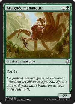 Araignée mammouth