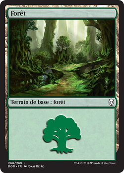 Forêt