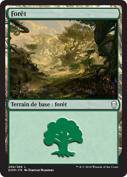 Forêt