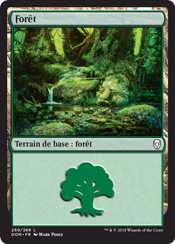 Forêt