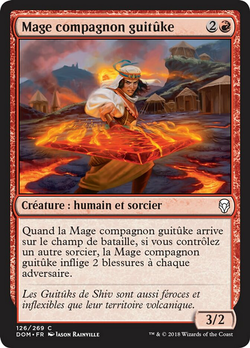 Mage compagnon guitûke