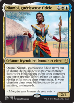 Niambi, guérisseuse fidèle