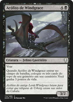 Acólito de Windgrace