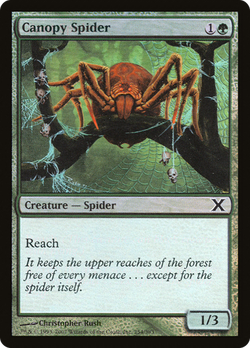 Canopy Spider