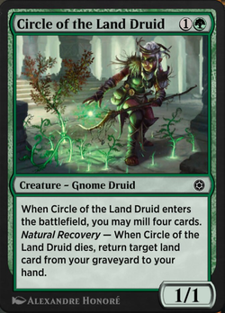 Circle of the Land Druid image