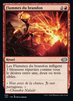 Flammes du brandon image