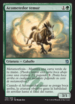 Acometedor temur