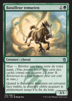 Chargeur Temur