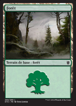 Forêt