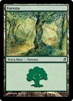 Foresta