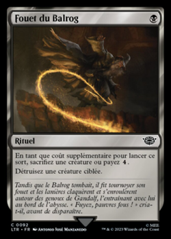 Fouet du Balrog image