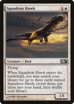 Squadron Hawk image