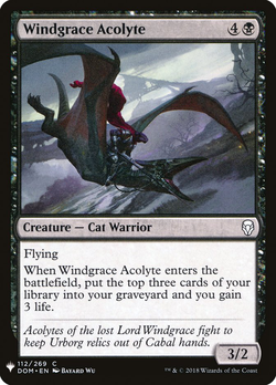 Windgrace Acolyte image