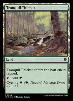 Tranquil Thicket image