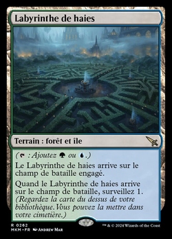 Labyrinthe de haies image