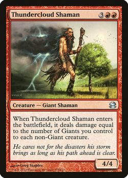 Thundercloud Shaman image