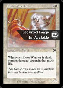 Pious Warrior image