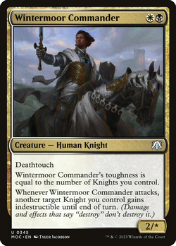 Wintermoor Commander image