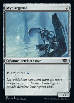 Myr argenté image