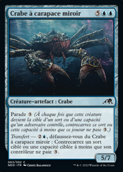 Crabe à coquille miroir image