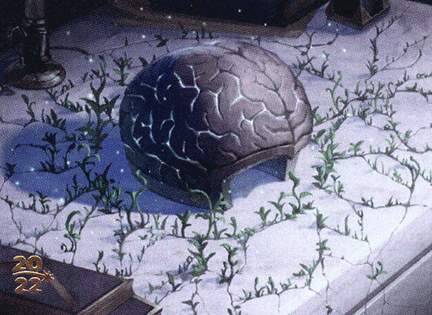 The Stone Brain Crop image Wallpaper