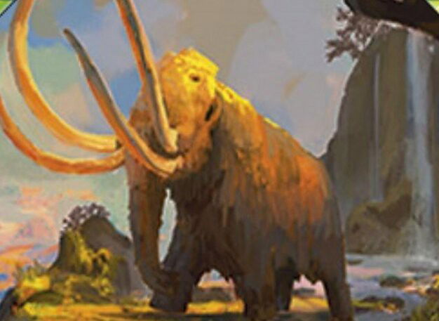 Kazandu Mammoth // Kazandu Valley Crop image Wallpaper