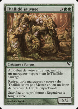 Thallidé sauvage image