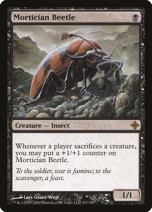 Mortician Beetle Full hd image