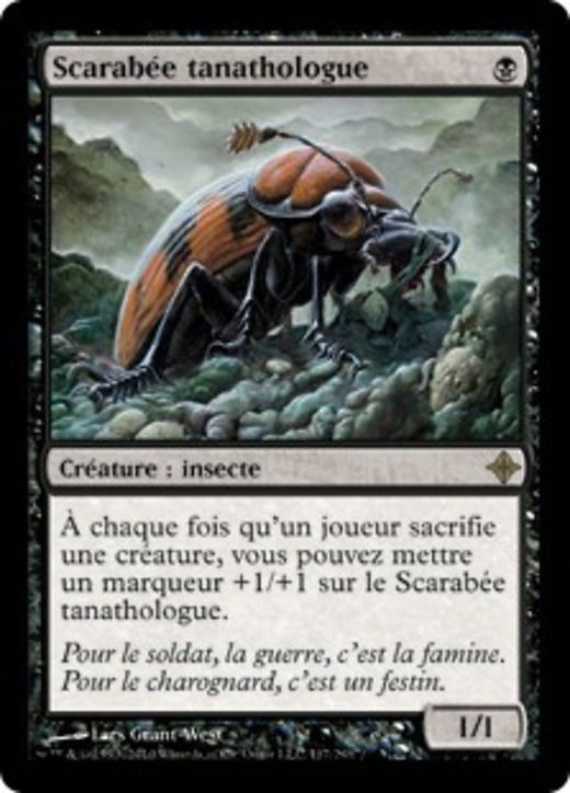 Mortician Beetle Full hd image