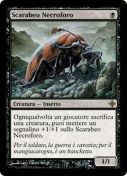 Scarabeo becchino image