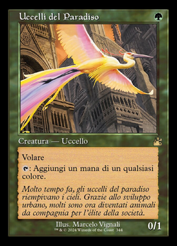 Uccelli del Paradiso image