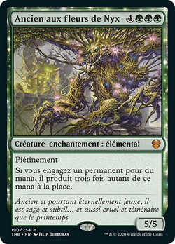 Ancien aux fleurs de Nyx