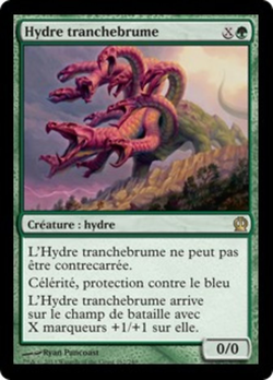 Hydra coupe-brume image