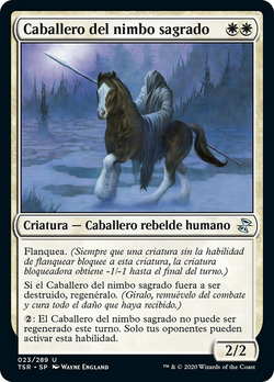 Caballero del nimbo sagrado image