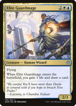 Elite Guardmage image