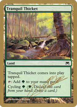 Tranquil Thicket