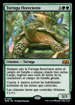 Tortuga floreciente image