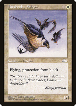 Duskrider Falcon image