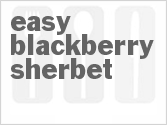 recipe for easy blackberry sherbet