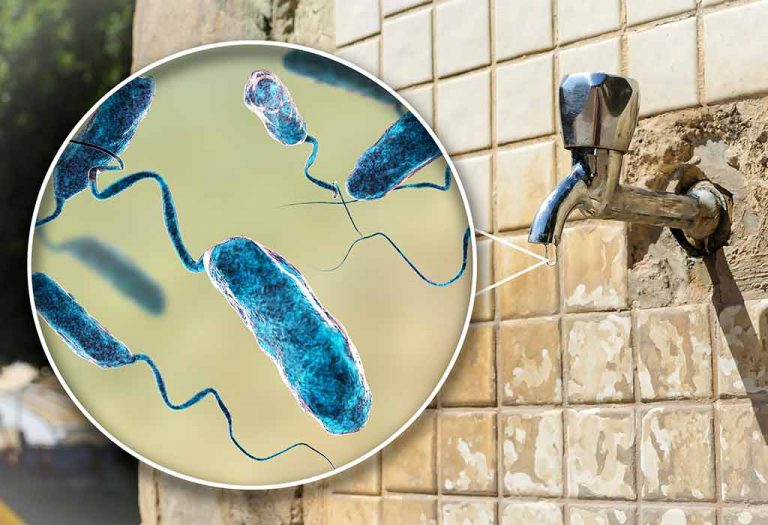 Cholera Disease: Causes, Symptoms, Treatment and Vaccination