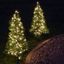 Winchester Fir Prelit Incandescent Clear Light Walkway Tree