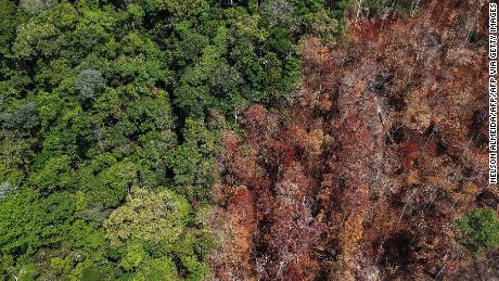 Amazon Rainforest Drought And Deforestation Could Lead To Bad Fire Season Cnn