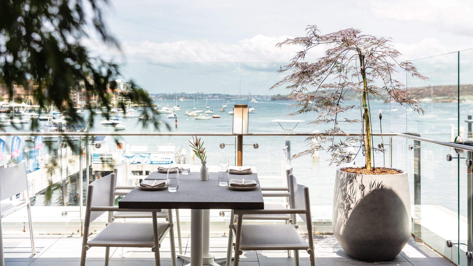 the terrace looking at the sea at Sake Restaurant and Bar Manly