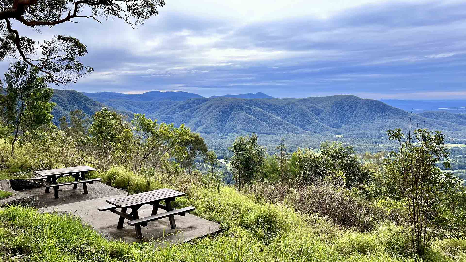 D'Aguilar National Park - home to some of the best hikes near Brisbane.