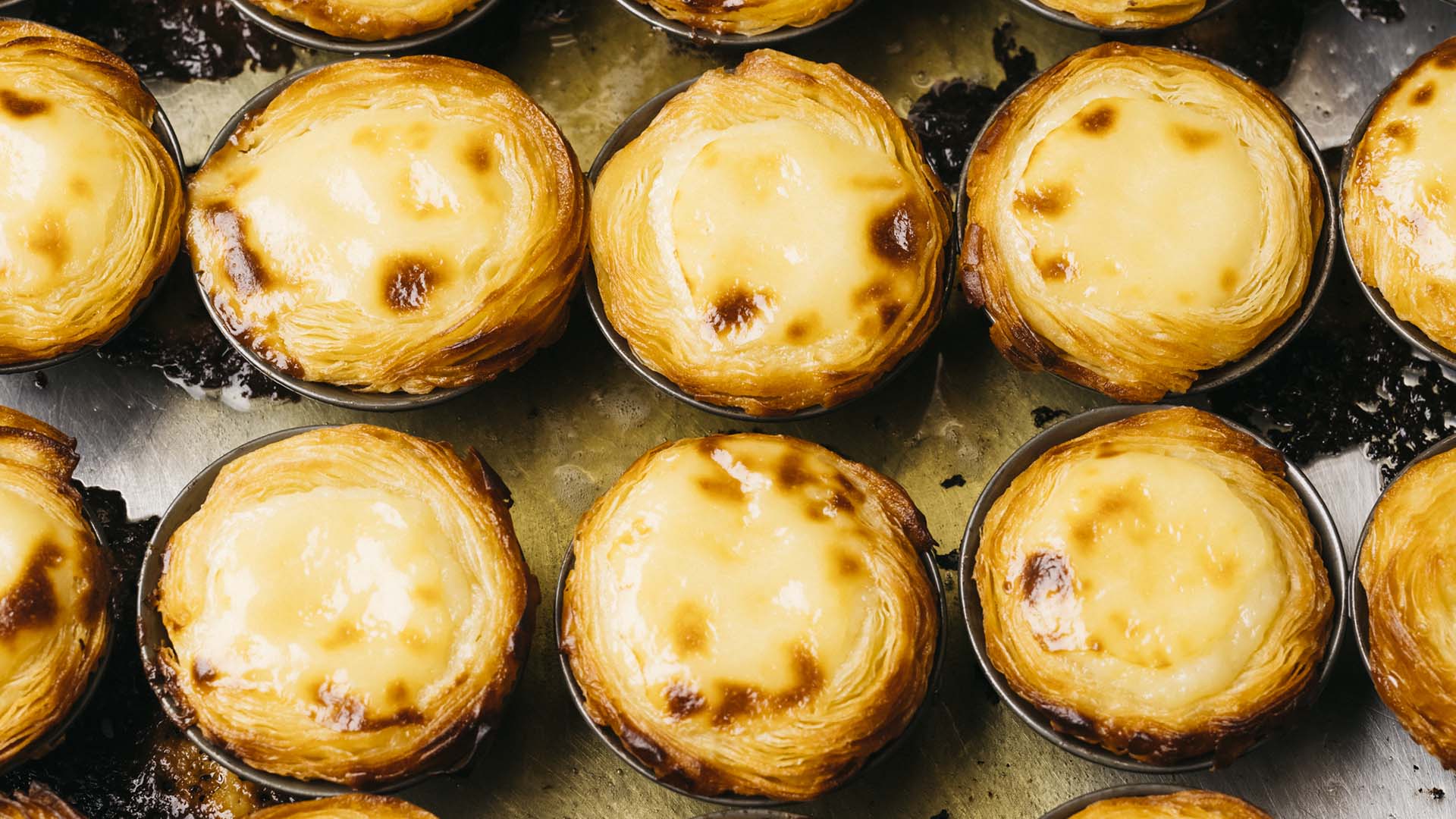 caffe lisboa portuguese custard tarts in brisbane - brisbane bakery, brisbane cafe