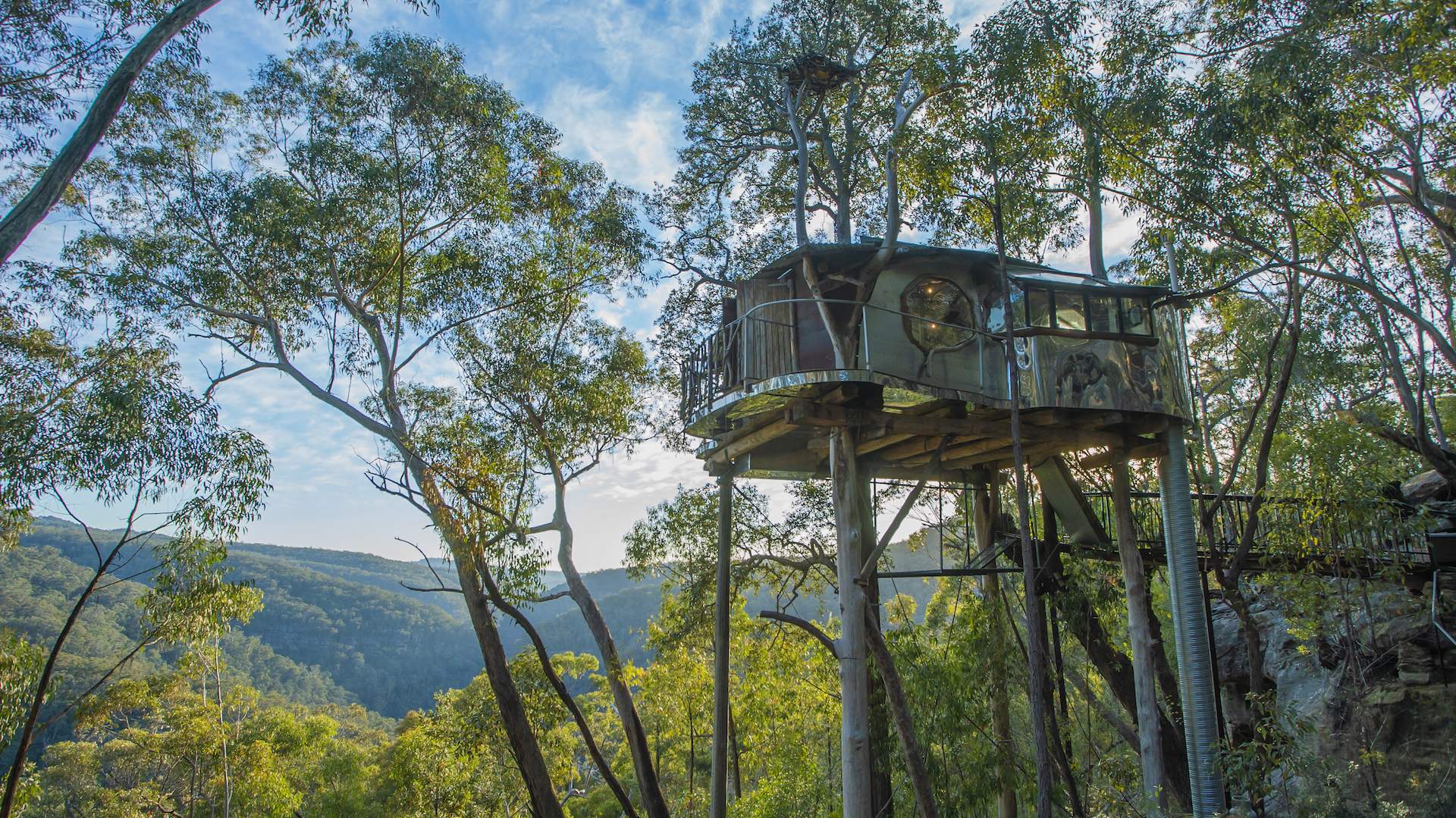 Wollemi Cabins Secret Treehouse blue mountains