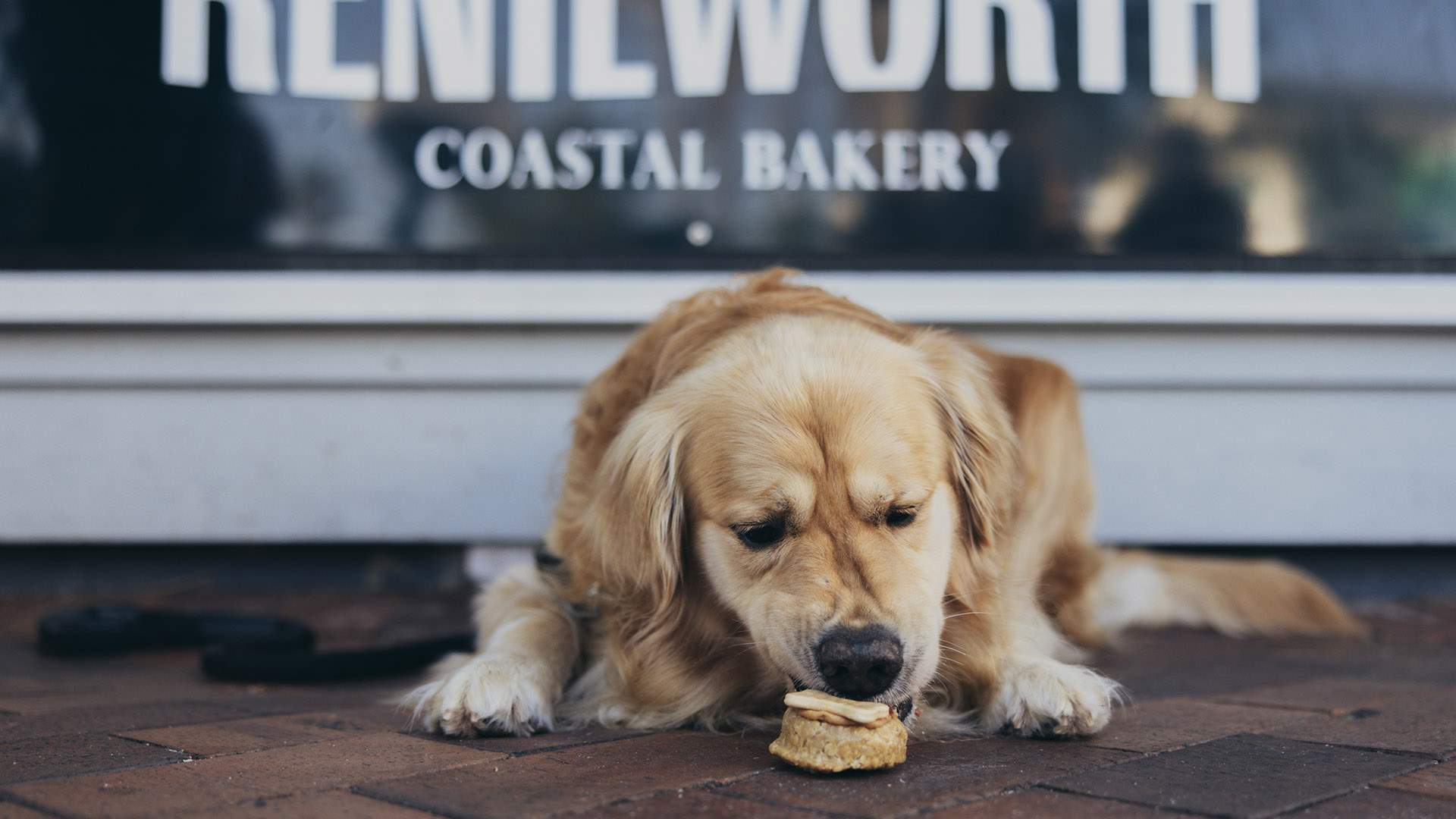 Kenilworth Island Bakery